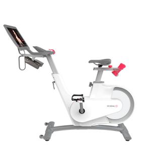 Купить Велотренажер Yesoul BV1-W PLUS в Краснозаводске 